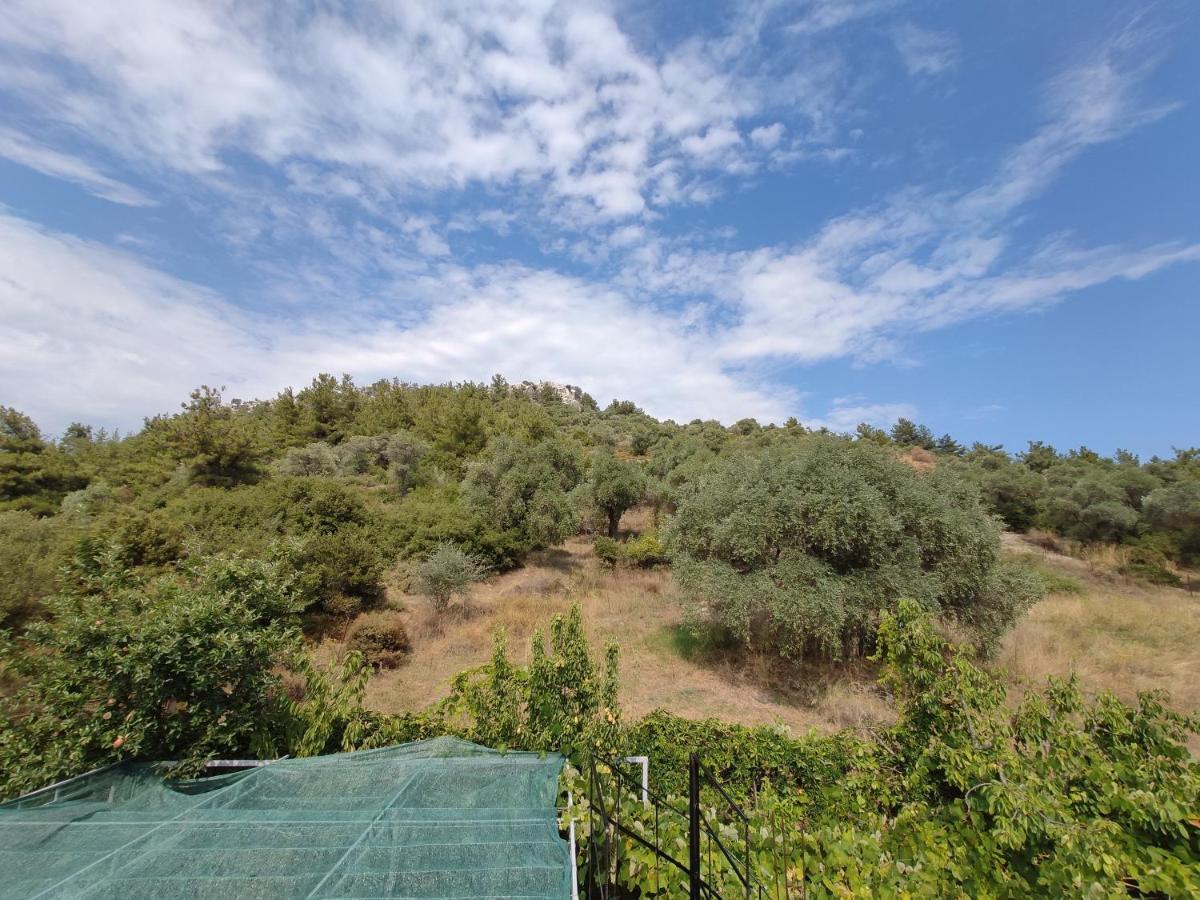 לימנאס Elpida Apartment מראה חיצוני תמונה